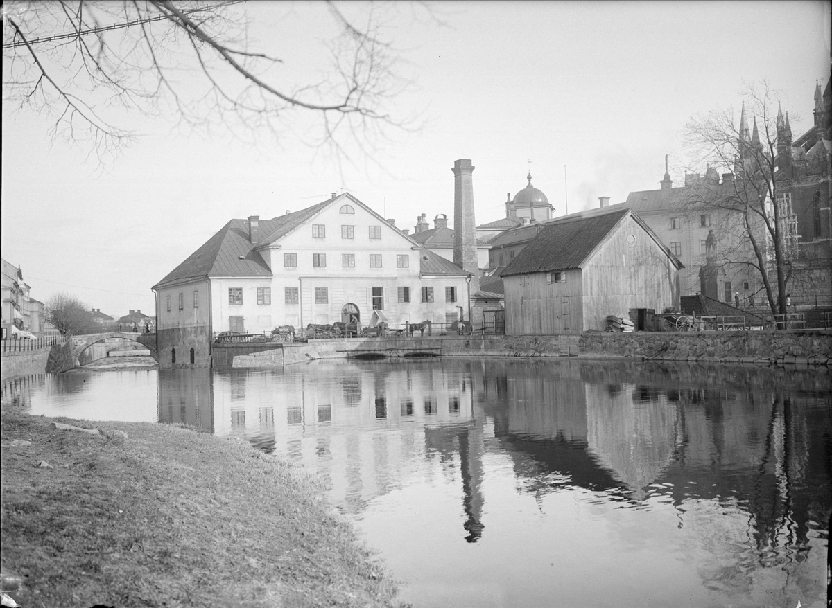 Akademikvarnen från norr, Uppsala 1901 - 1902