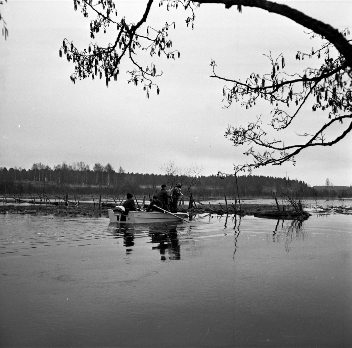 Draggning i Tämnarån, Tierp, Uppland 1967