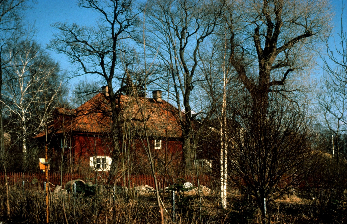 Lugnet, kvarteret Blåsenhus (nuvarande kvarteret Plantskolan), Uppsala 1981
