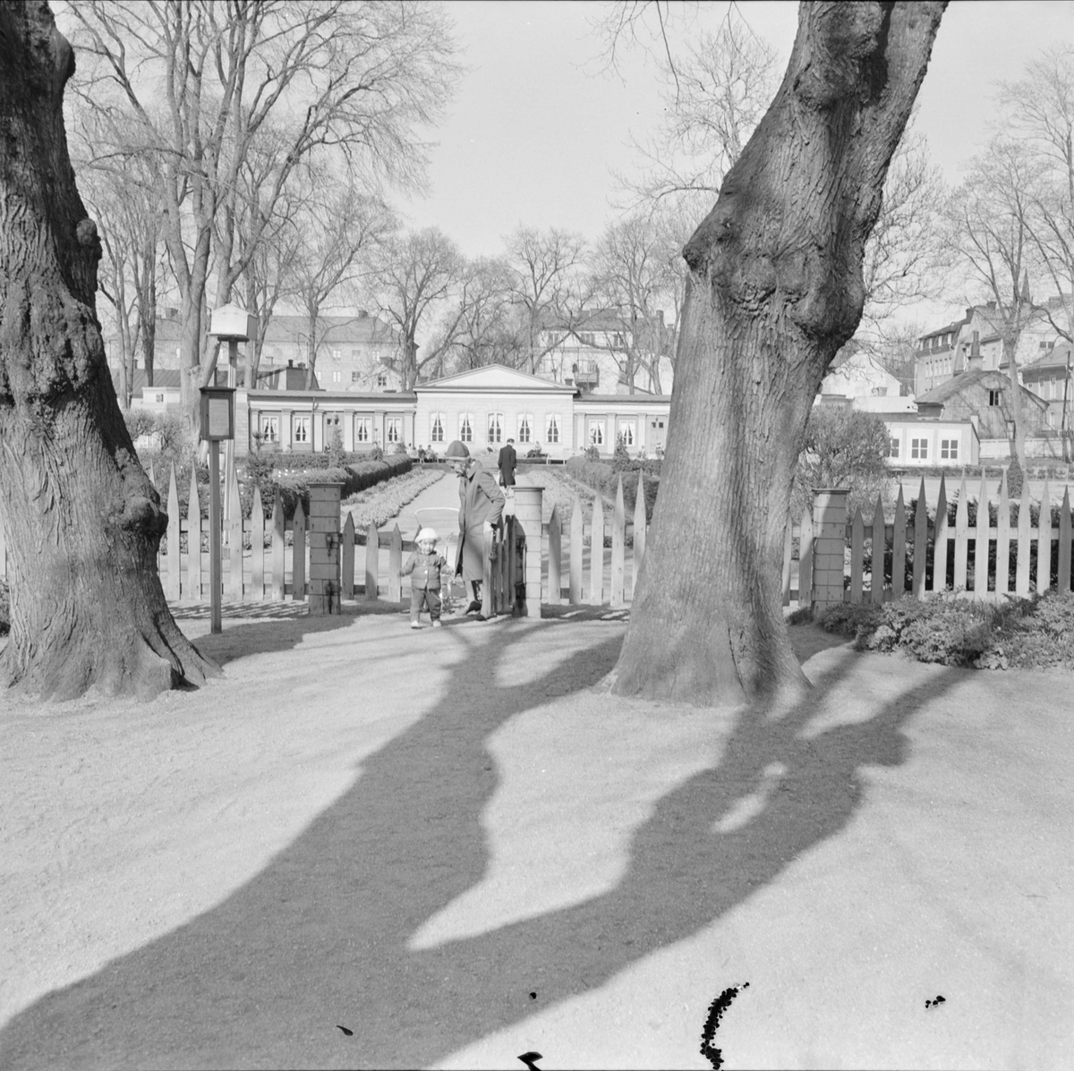 Linnéträdgården och Orangeriet, kvarteret Örtedalen, Dragarbrunn, Uppsala