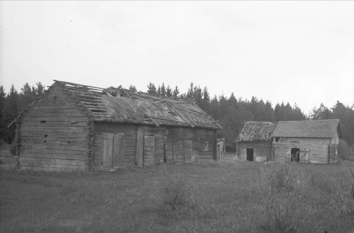 Gårdsmiljö, Tunalund, Bälinge socken, Uppland 1920-tal