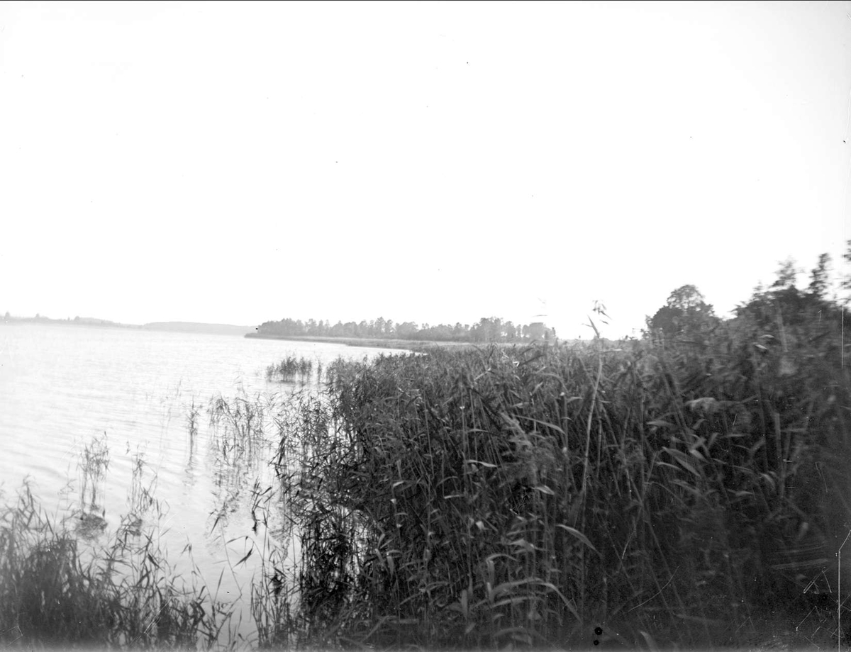 Långsjön vid Sätuna, Björklinge socken, Uppland september 1933