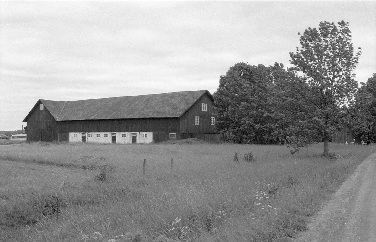 Loge och ladugård, Sundbro 22:1, Bälinge socken, Uppland 1983
