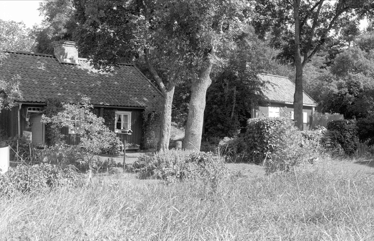 Pumphus och bostadshus, Hässelby 5:1, Börje socken, Uppland 1983