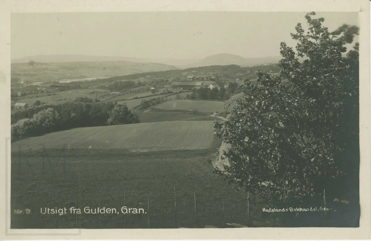 Utsikt fra Gulden mot Gisleberg og Brandbukampen.