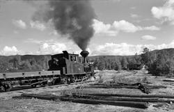 Damplokomotiv nr. 5 i nordgående godstog 5661 skifter på Raf