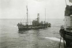 Hvalbåt 'Seksern' (b.1930) med fangst legger til ved FLK 'Th