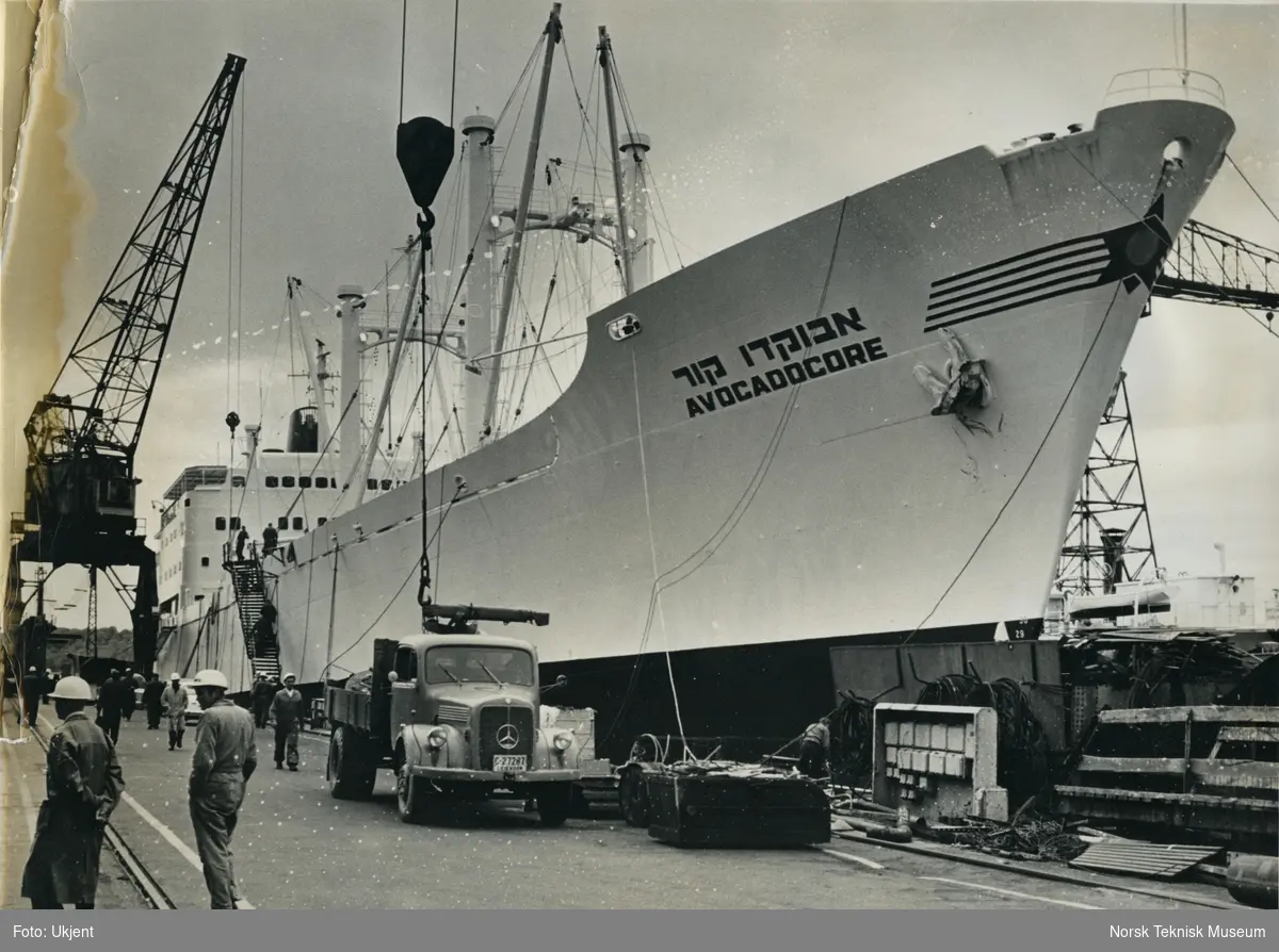 Eksteriør, kjøleskipet M/S Avocadocore, B/N 559 til kai på Akers Mek. Verksted. Skipet ble levert av 29. juni 1965 til Maritime Fruit Carriers Co. Haifa, Israel.
