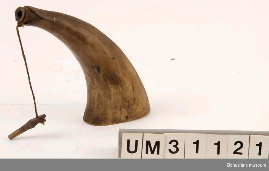 Kruthorn tillverkat av ett ljust horn av får med oval botten. I bottnen  pluggat med en träplatta, i smala änden med en träplugg som sitter i ett vidhängande snöre, knutet om hornet. Mynningen dekorskuren.

Använt av Carl Gustaf Bernhardson och hans far vid sjöfågeljakt. 
Samhör med gevär UM31151-UM31152, övriga jakttillbehör: UM31153 - UM311156.
Bernhardson skildrar sjöfågeljakten i många av sina målningar.

För ytterligare upplysningar om Carl Gustaf Bernhardson samt om förvärvet, se UM31100.

Litt.; Nylén, Anna-Maja, Hemslöjd, Håkan Ohlssons förlag, Lund 1978, s. 396-401.