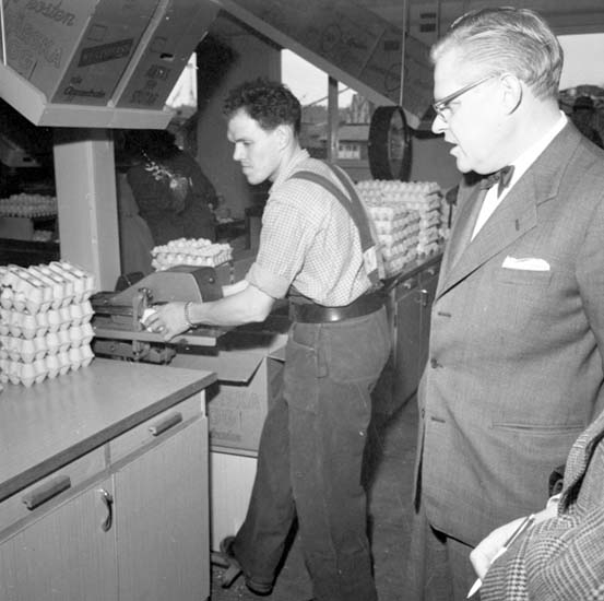 Packning av ägg på Äggcentralen, Uddevalla, i mars 1959
