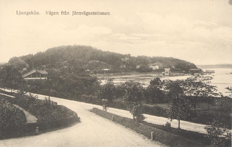 Tryckt text på kortet: "Ljungskile. Vägen från Järnvägsstationen".