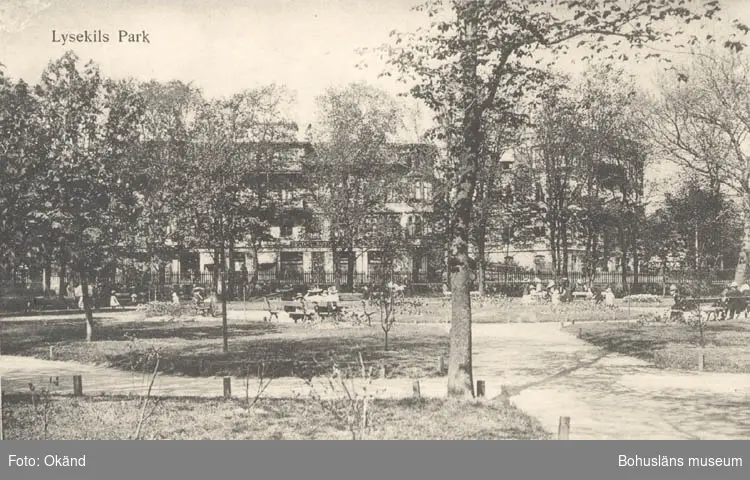 Tryckt text på kortet: "Lysekils Park."
"A. Hörnfelds Cigarraffär."