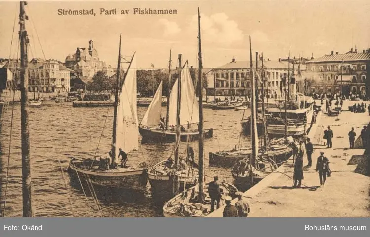 Tryckt text på kortet: "Strömstad. Parti av fiskehamnen."