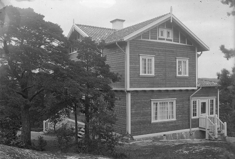 Enligt fotograrens journal nr 2 1909-1915: "Stjärnspets, Major Villan Ön".