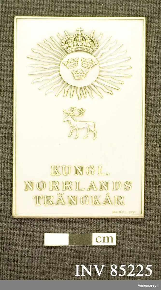Grupp: M II. 
Kungliga Norrlands trängkårs hedersplakett i silver.