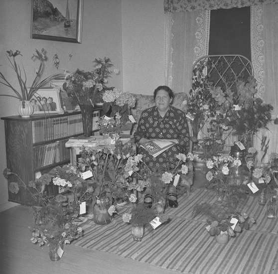 Text till bilden: "Fru Asta Andersson, Rotemyr. 60 år 12/6 52. 1952.06.13"










i