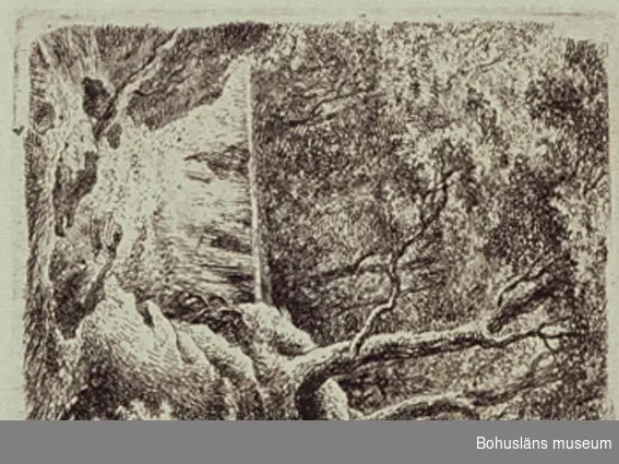 Ur handskrivna katalogen 1957-1958:
Femton mindre gravyrer
Landskapsbilder av Antoni Waterlo, G. Adam m. fl. H. fr. 7,5 till 20 cm. Br. fr. 8 till 34 cm. Ej inramade.