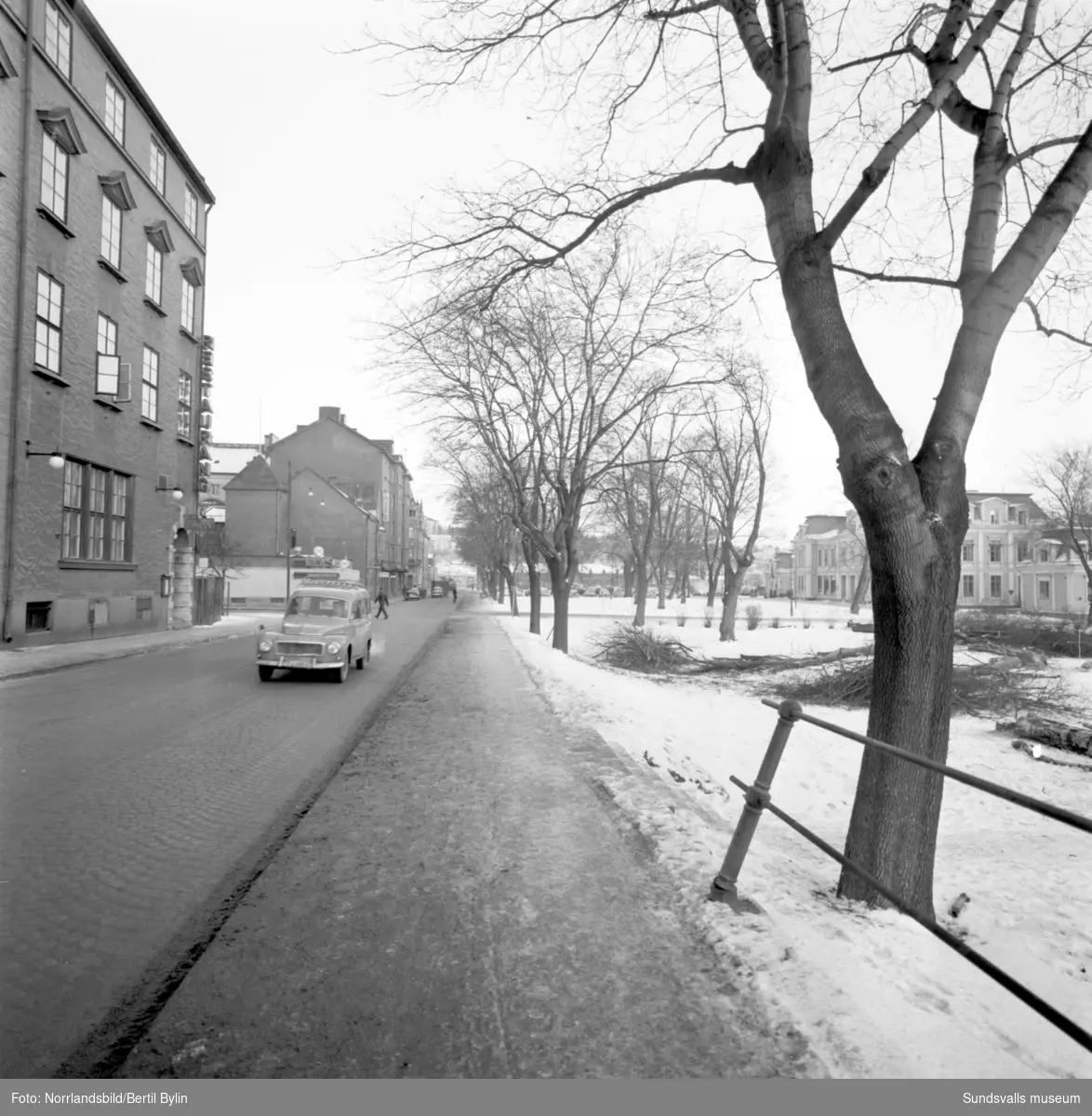 En serie bilder tagna i samband med fällning av popplarna i Järnvägsparken invid Strandgatan, området som sedan gav plats för E4 genom Sundsvall. Bakom syns gamla järnvägsstationen, numera (2016) Casino Cosmopol. På en av bilderna syns även järnvägstunneln som då gick snett under Köpmangatan.