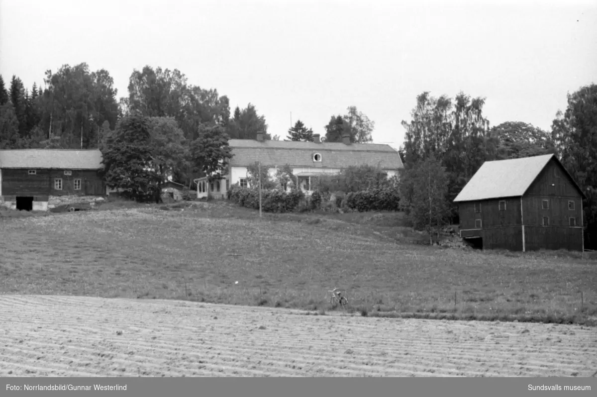 Bostäder och gårdar  i Timrå köping.