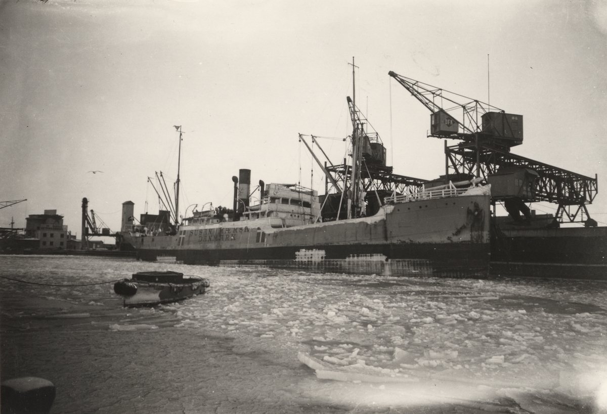 Foto i svartvitt visande lastångfartyget "SUSAN MAERSK" av Aalborg, vid kaj i Köpenhamn under 1939-41.