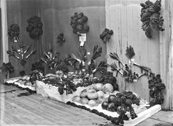 utstilling, Østfoldutstillingen, grønnsaker, Askim, konkurra