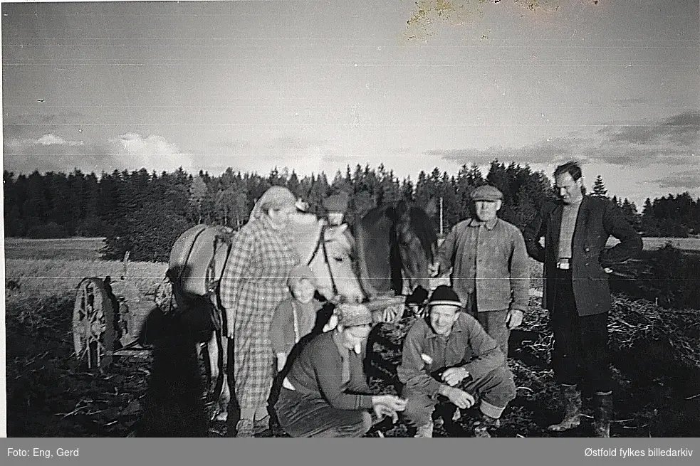 Potetopptaking på gården Kassem søndre gnr. 58 bnr. 2, Skiptvet  høsten 1957.
Alette Eng, Ole-Jørgen Eng (4 år), Anne Cath. Skodvin (f. Eng), Kåre Eng, Olaf Eng (eier) og Ragnar Skodvin.