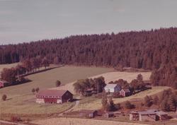 gårdsbruk, skråfoto,