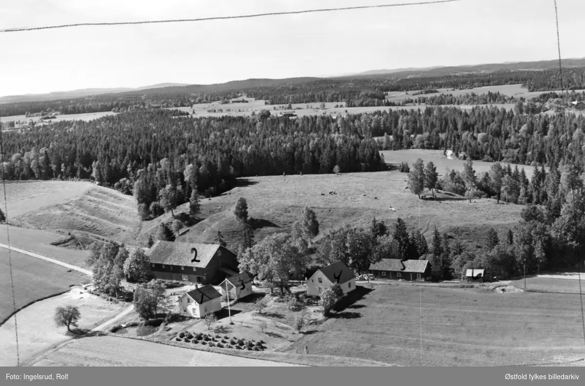 Gården Kjæsegg østre i Trøgstad, flyfoto 23. juni 1956.