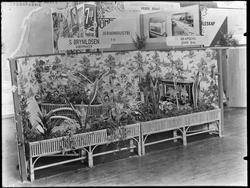 S. Brynildsen Kurvmaker. Utstillingsstand, kurvmøbler, bloms