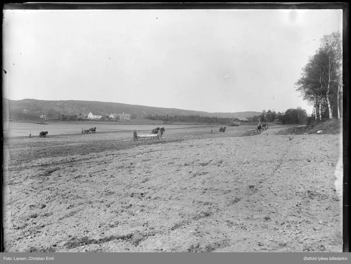 Kalnes  landbruksskole i Tune ved Sarpsborg, ca. 1925. 
Fem hestekjøretøy forspent med ulike jordbruksredskap.
Øsaker gård i bakgrunnen. Gården Huset til høyre, man ser uthuset.

Traktor med slepekultivator
2 hester foran harv
2 hester foran   kunstgjødselspeder ( gitterspreder – spesialbetegnelse på varianten)
2 hester foran såmaskin
2 hester foran harv


På gården Øsaker  det i dag våningshus, stabbur og vognskjul som er bevart (2013). Murbygning til høyre var grisehus, med bolig i motsatt ende.  Øsaker var på sin tid regnet for å være blant de største gårdene i Tune. JOrda ble solgt til Kalnes landbruksskole.