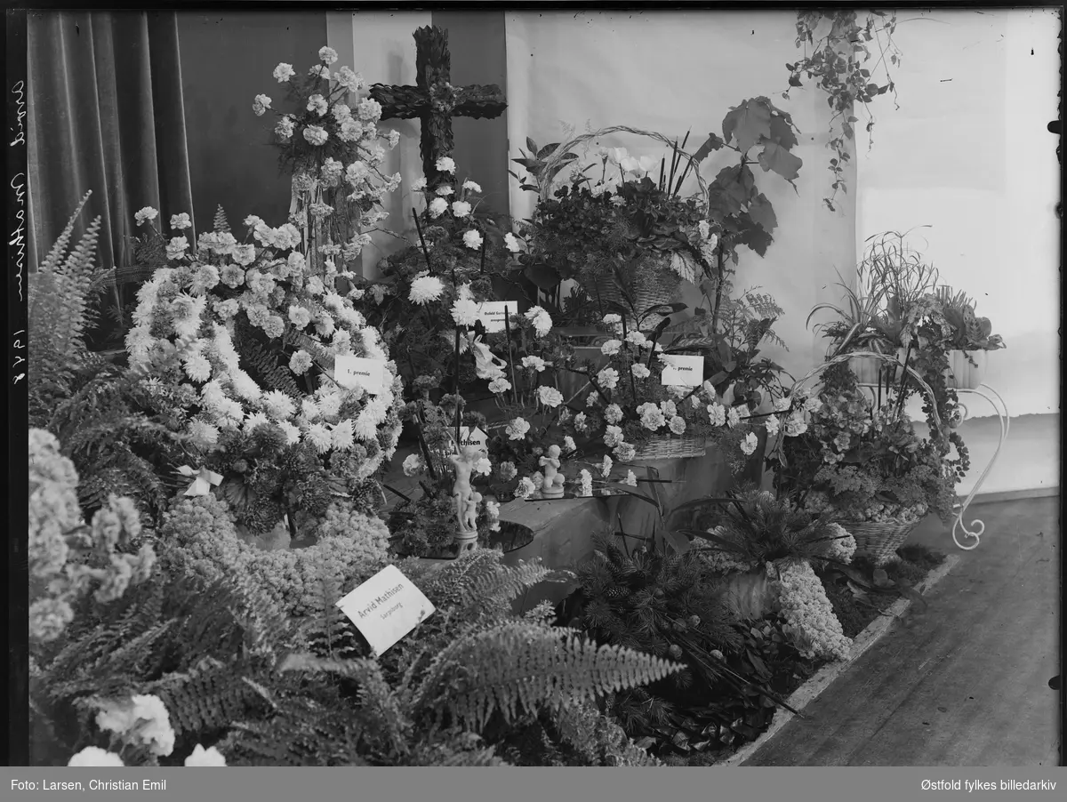 Blomsterutstilling i ukjent lokale, Phønix i Fredrikstad? i 1948.
Skilt Arvid Mathisen, Sarpsborg  var en av utstillerne.
