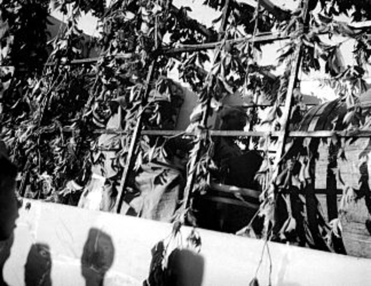 En samling bilder fra Skien, bl.a. Skiensdagene med opptog. Fruktaroma hadde 10-15 mann som gikk i oppdrag med kurver og delte ut vareprøver, samt 1 bilde fra krigen der tyske soldater marsjerer mot brakken på Gjemsø. Fotografiet er tatt fra bakken opp mot Sykekehuset. Borg ble oppdaget og tatt inn til forhør.