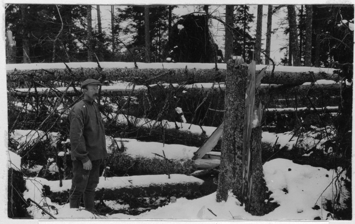 'Bildtext: ''Efter snöstormen den 23 oktober 1921.'' Närbild av 1 man stående intill avbrutna stammar av barrträd. :: Hög med liggande stammar. ::  :: Fotonr. 7047:2-23 indelad under rubriken ''Atmosfäriska skador på skogen, skogseld och släckning därav.'' Ingår i serie med fotonr. 7046:1-383, 7047:1-33 och 7048:1-67 med bilder från  Länsjägmästare John Lindners bildarkiv.'