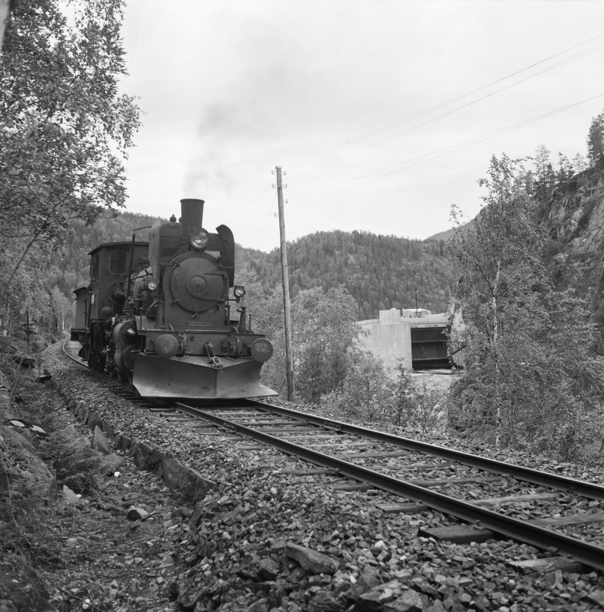 Damplokomotiv 21e 207 på på Numedalsbanen.