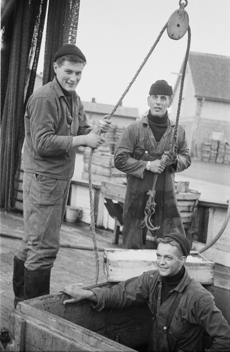 Övrigt: Räkfiskare på Smögen