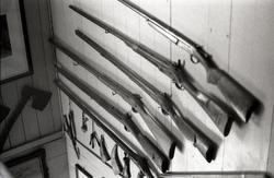 Sand - Samleren - Rasmussen.