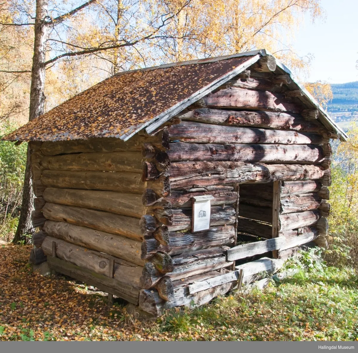 Løe fra Øyestølen på Veståsen Ål Bygdamuseum, Leksvol
