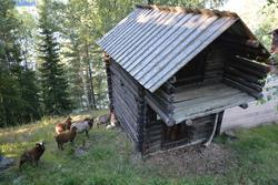 Stall frå Øvre Fristadplassen