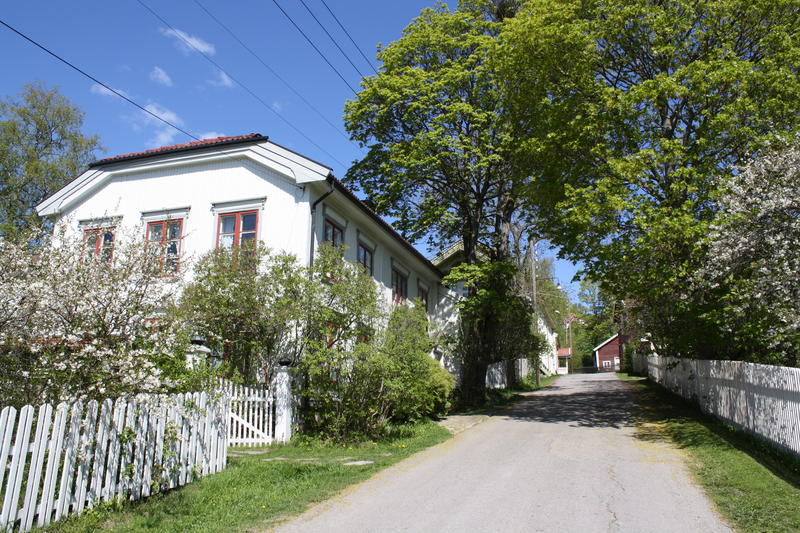 Hus og hager i Storgata, Øvrebyen, i vårblomstring (Foto/Photo)