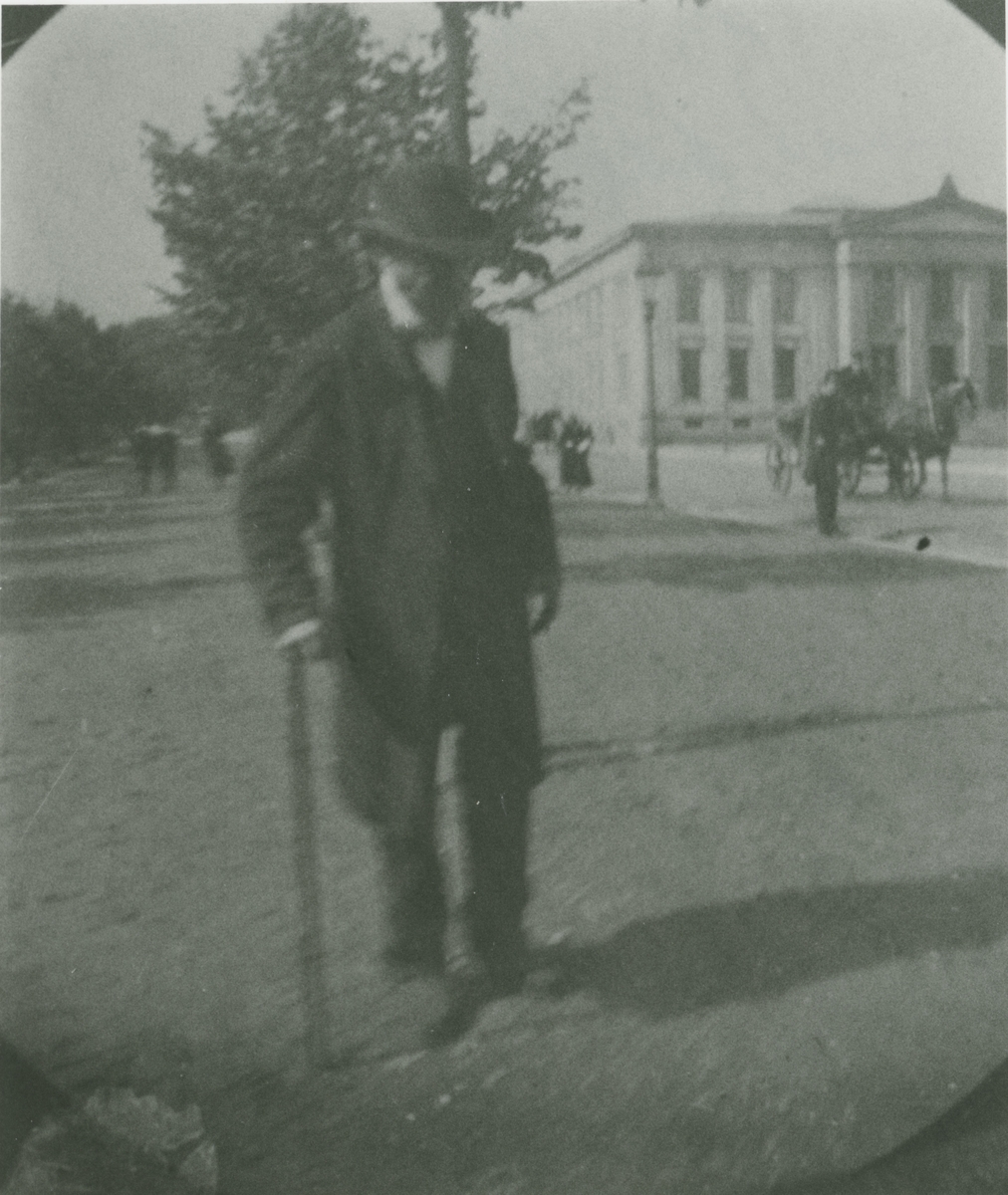 Fotografiet syner språkforskaren og diktaren Ivar Aasen (1813-1896) vandrande på Karl Johans gate i Kristiania. Bak til høgre ligg universitetet. Ein skimtar folk i bakgrunnen, og ei hest og kjerre til høgre.
