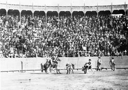 Tyrefægtning. Mexico