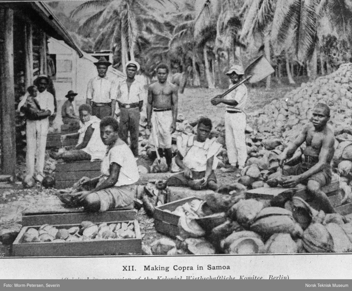 Produksjon av Copra i Samoa