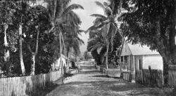 Gateparti, Nicaragua