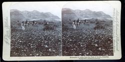 Mountains of Judea, from the Plain of Jericho, Palestine
