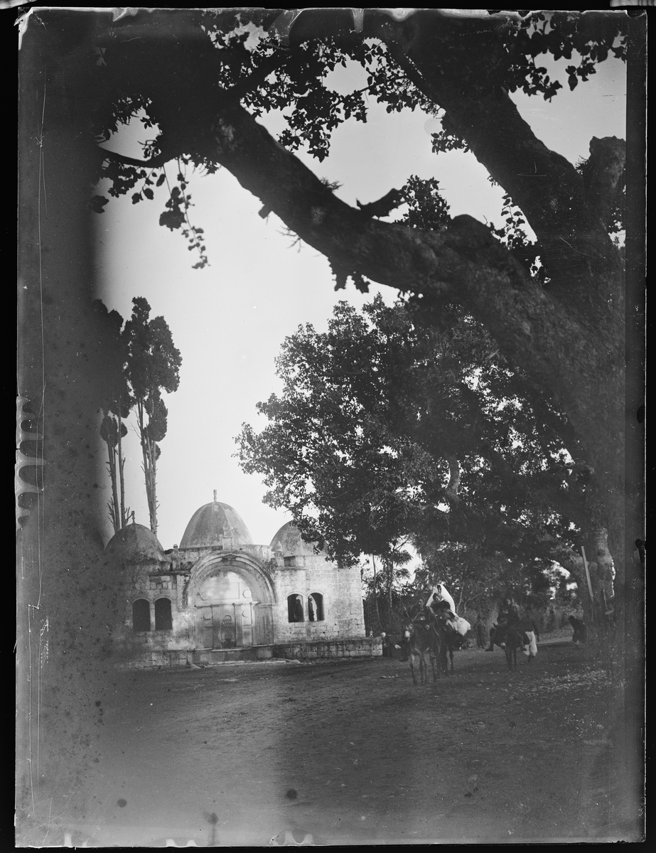 "Jerusalem 10, Cairo 6" (inskr eske). Tempel med tre kupler. Et reisefølge kommer mot fotografen. Esler med stor oppakning. Store trær rundt.