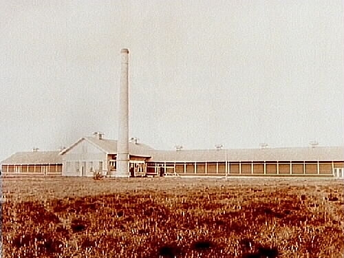 Näsby, Almby socken
Örebro Renhållningsverk, fabriksbyggnad med hög skorsten.