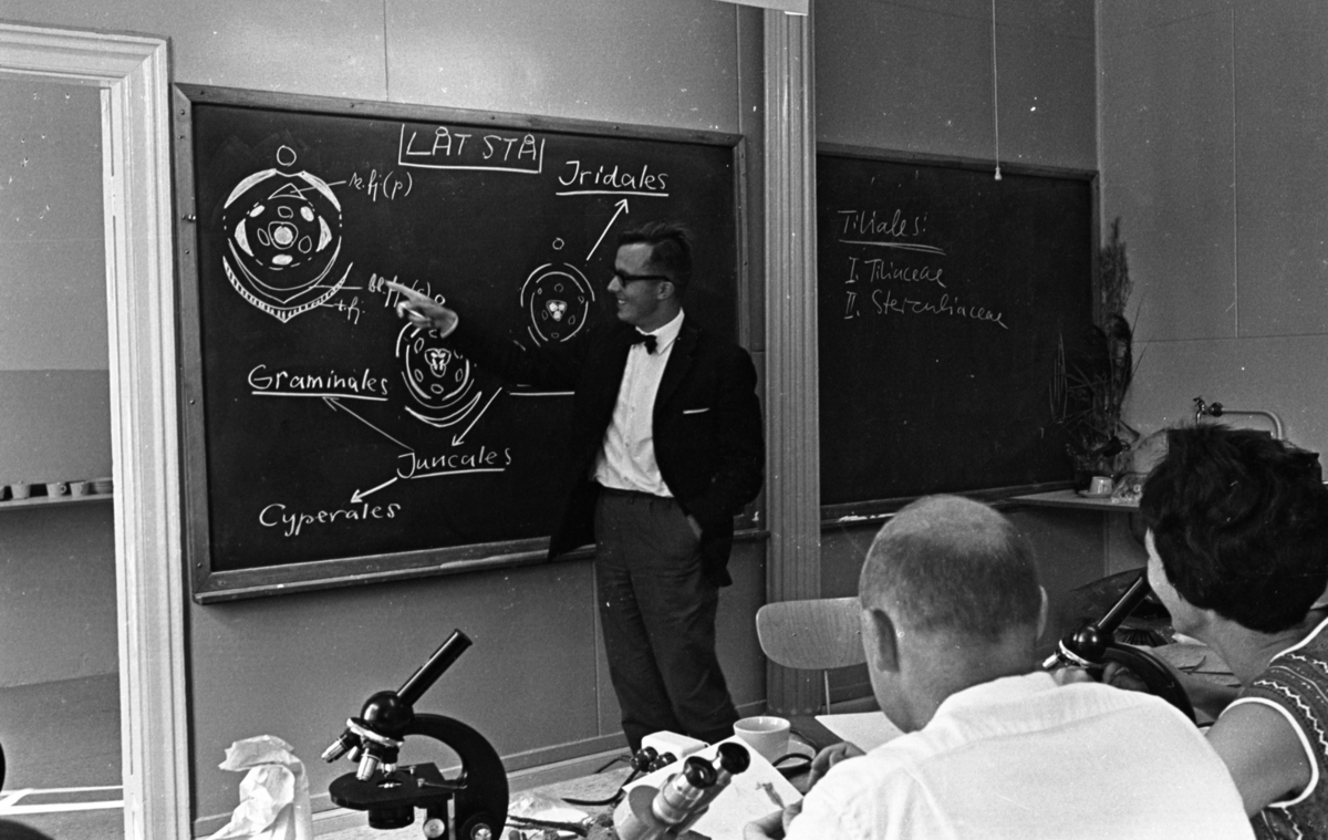 Botanikkurs 18 augusti 1965

Undervisning på ett laboratorium