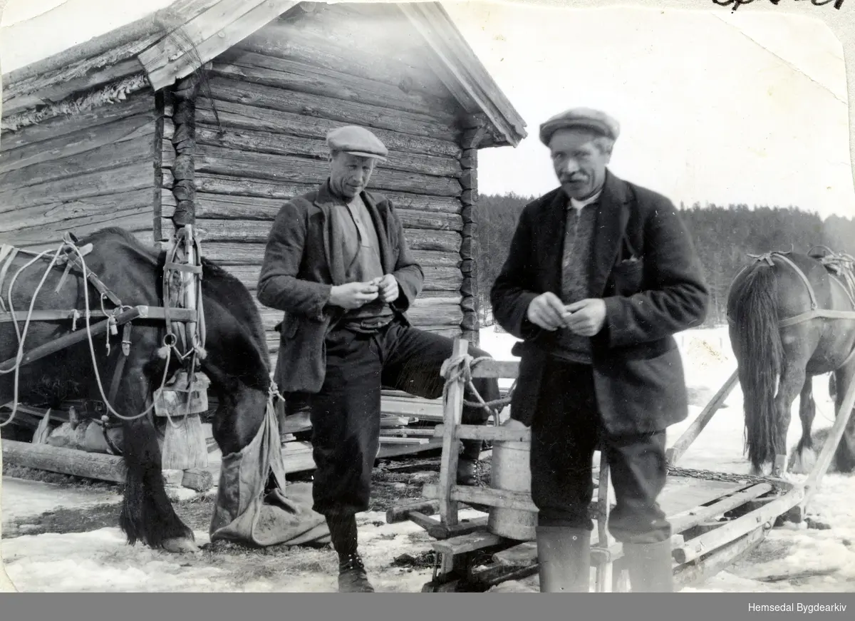 Ola E. Aalrust (Endresen) og Halvor Eikrehagen (1887-1967) køyrer turistar frå Hjelmen til Aalruststølane.