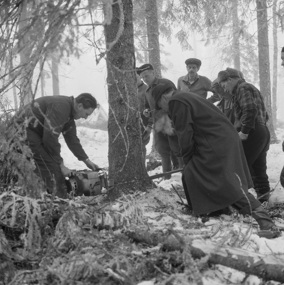 Skogshuggarlägger i Garphyttan. Bildsidan.
5 februari 1955
