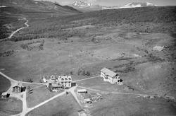 Hjerkinn fjellstue, Dovre, 08.07.1952, veier, blandingsskog,